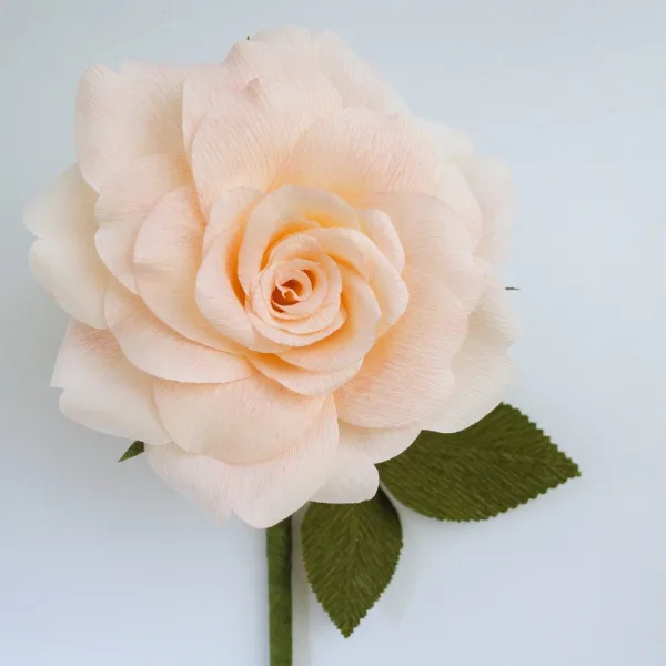 crepe paper garden rose blush